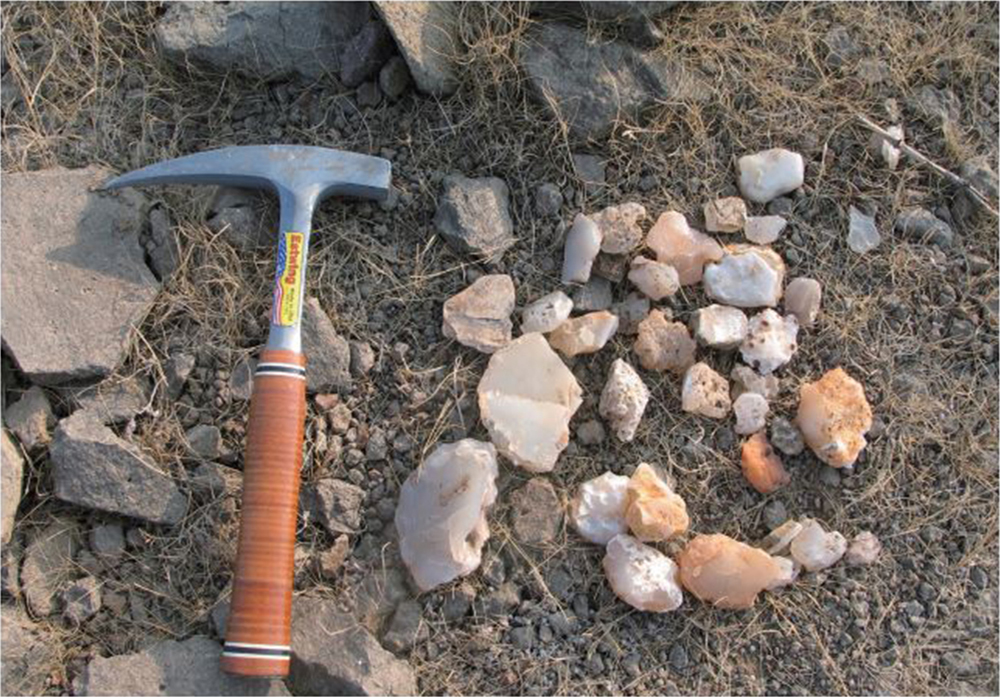 Agate Acquisition Networks | Harappa