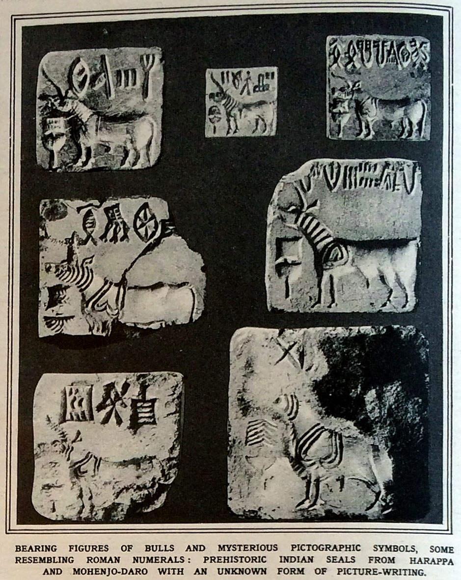 The First Unicorn Seals | Harappa