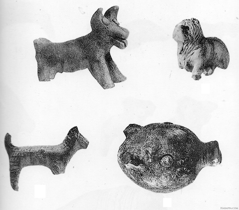 Dogs of the Ancient Indus Valley | Harappa