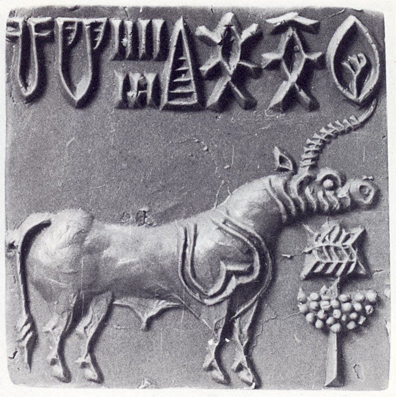 One or two - unicorn - horns? | Harappa