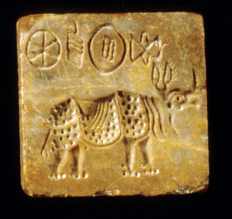 The Rhinoceros in Indus Times | Harappa