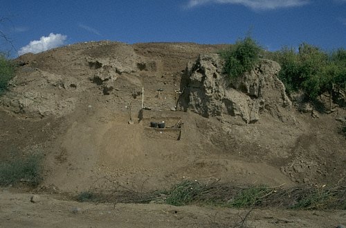 Trench II, western slope of the mound (Niai Buthi)