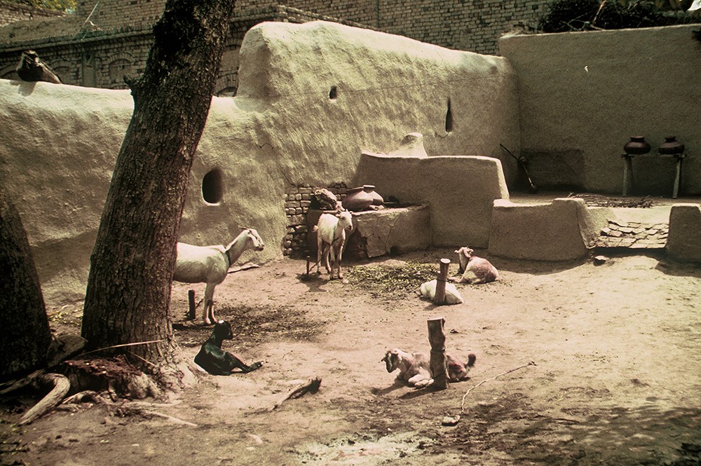 Mohenjo-daro, Modern terraced courtyard in Harappa town