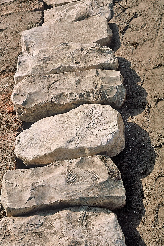 Mohenjo-daro, Limestone drain covers, SD Area
