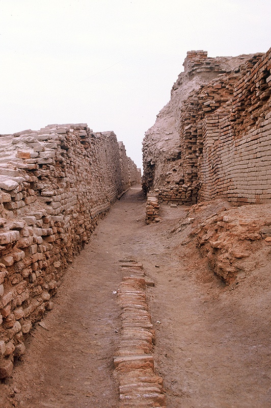 Mohenjo-daro, Covered drain, Divinity Ave, SD Area