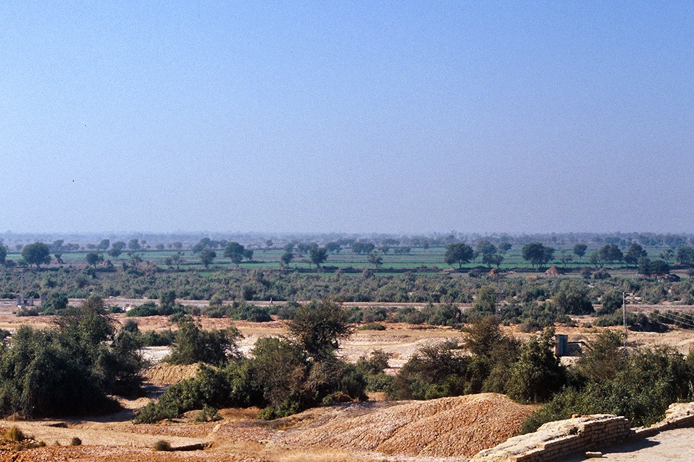Farmlands to the west of Mohenjo-daro