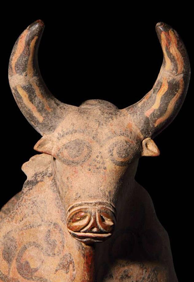 Detail of the bull's head. 