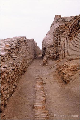 This street, called Divinity Street by the early excavators, as a small drain with brick coverings. The street runs north south along the east side of the College building. The massive walls on the right are the edges of houses buried beneath the Buddhist period Stupa.