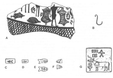 An image of several (sketched) Harappan artifacts (fishhook, fish motif, etc.)  