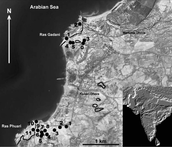 The Archaeological Sites of Gadani and Phuari Headlands