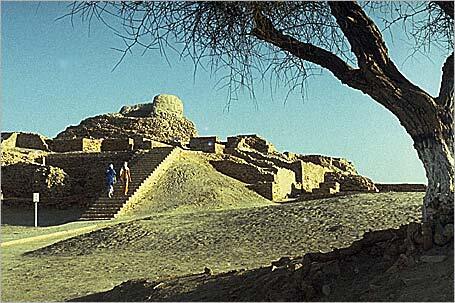 Recent Developments in the Study of the Indus Civilization