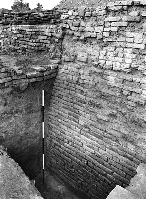 Wall Construction, Mohenjo-daro 100 | Harappa