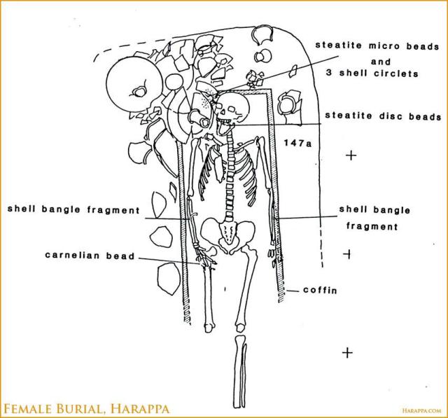 "Four burials of what are probably adult females were found with shell bangles on their left arms. The bangles were arranged on both the lower and upper arm, with the characteristic Harappan chevron motif pointing counter clockwise. One burial had 14 shell bangles, another had seven, another had five, only had only two." (Richard H. Meadow, Harappa Excavations 1986-1990: A Multidisciplinary Approach, p. 194.)