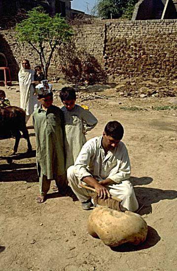 Excavation assistant Abdul Jabbar from Harappa town begins cleaning the ringstone after excavation.