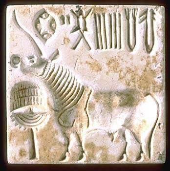 A steatite unicorn seal from Harappa with Indus script. This seal was found in the central area of Mound E and dates to Period 3B or early 3C, around 2450-2200 BC. When pressed into clay the impression will be reversed. Since the Indus script may have been read from right to left, the last two signs visible at the top right hand edge of the seal would in fact be the last two signs of the inscription. They thus would be positioned in the same order as seen on the Early Harappan sherd (previous image) that da