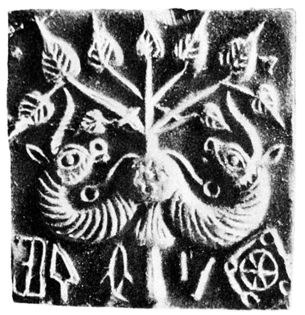 "The representation of plant forms on the seals is rare; they occur on only twelve seals . . . On only two seals is a plant form the central motif (Nos. 387 and 527). The plant on the former [shown here] has been identified as a pipal tree, which in India is the Tree of Creation. The arrangement is very conventional and from the lower part of the stem spring two heads similar to those of the so-called unicorn." [Marshall, Vol. III, p. 389]