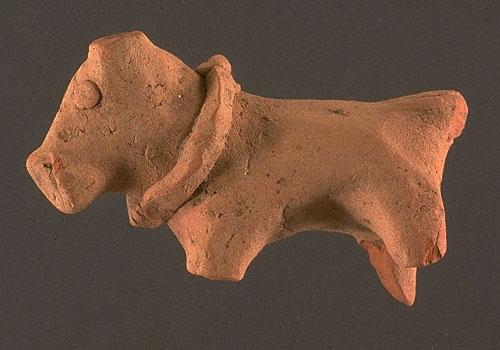 Some texts from ancient Mesopotamia mention imports received from the land of "Meluhha", widely considered a reference to the Indus Civilization. Among these imports, according to some interpretations, is a colored dog. A number of dog figurines have been found at Harappa and at other Indus sites. The collars found on dog figurines probably signify domestication, unlike the collars on the rhinoceros or the large feline figurines. Approximate dimensions (W x H(L) x D): 1.9 x 5.3 x 3.3 cm.