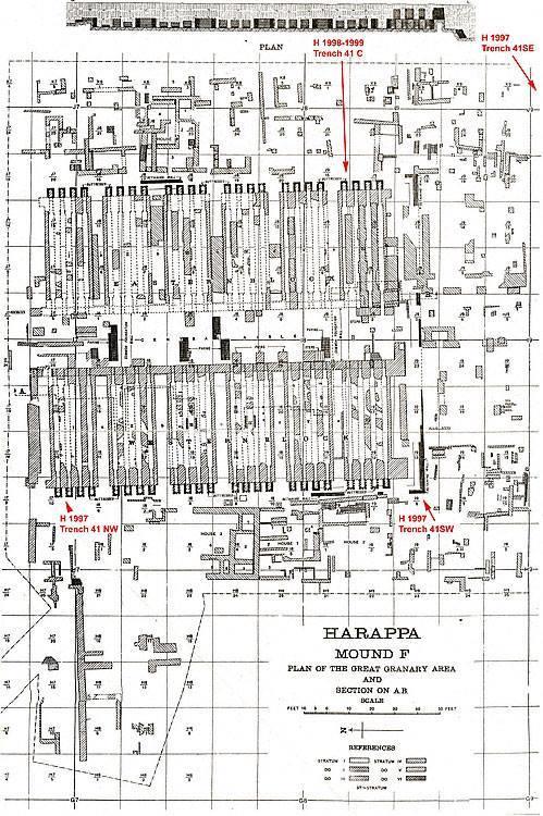 Plan view of the so-called "granary" or "parallel-wall structure" on Mound F at Harappa indicating areas of HARP excavations conducted in 1997 and 1999. Note that the structural remains surrounding the "granary" are, for the most part, later than the original "granary" structure.