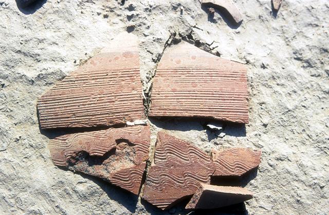 Potsherds showing finely incised designs.