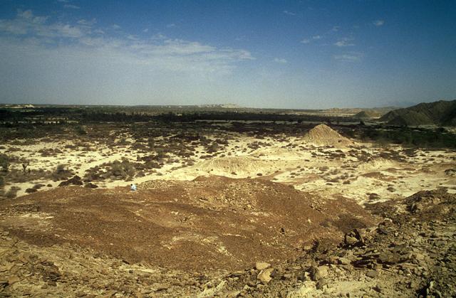 Looking north-east across the ‘lower town’.