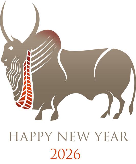 happy new year 2026