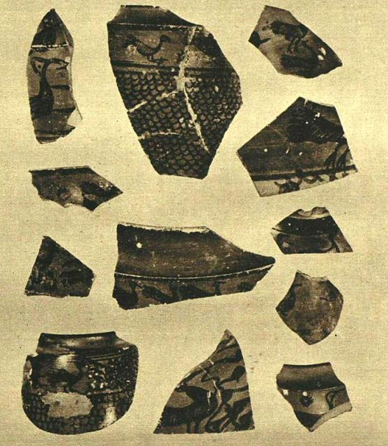 Sherds of the later pottery from Kot Diji