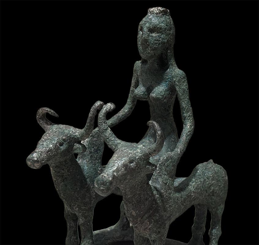 Woman Riding Two Brahman Bulls Close