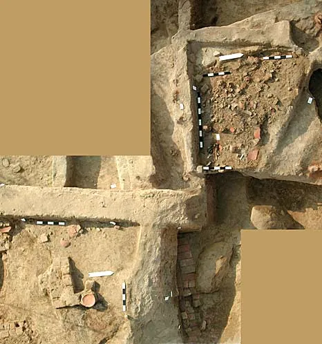Interaction Systems, Specialized Crafts and Culture Change: The Indus Valley Tradition and the Indo-Gangetic Tradition in South Asia