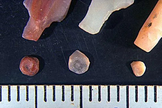 Sidis in the Agate Bead Industry of Western India
