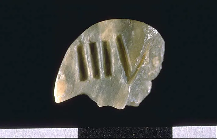 Is the Indus Script Indeed Not a Writing System? 