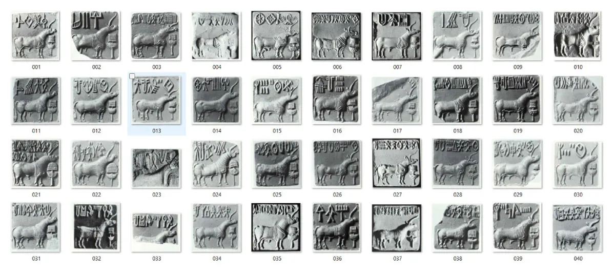 A few samples from the image dataset of IVC seals.