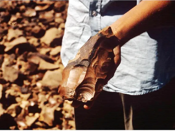Excavation of RH962 Flint Mine and Flint Knapping Workshops on the Rohri Hills