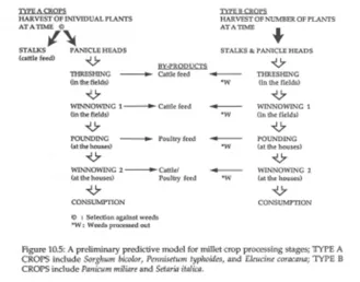 a diagram from the article