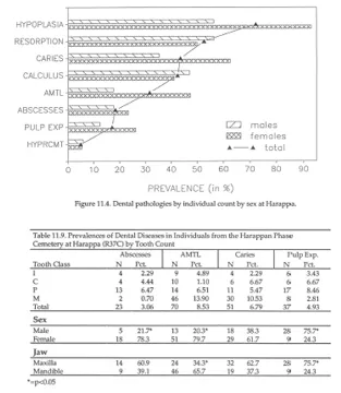Dental pathologies (by sex) at Harappa 