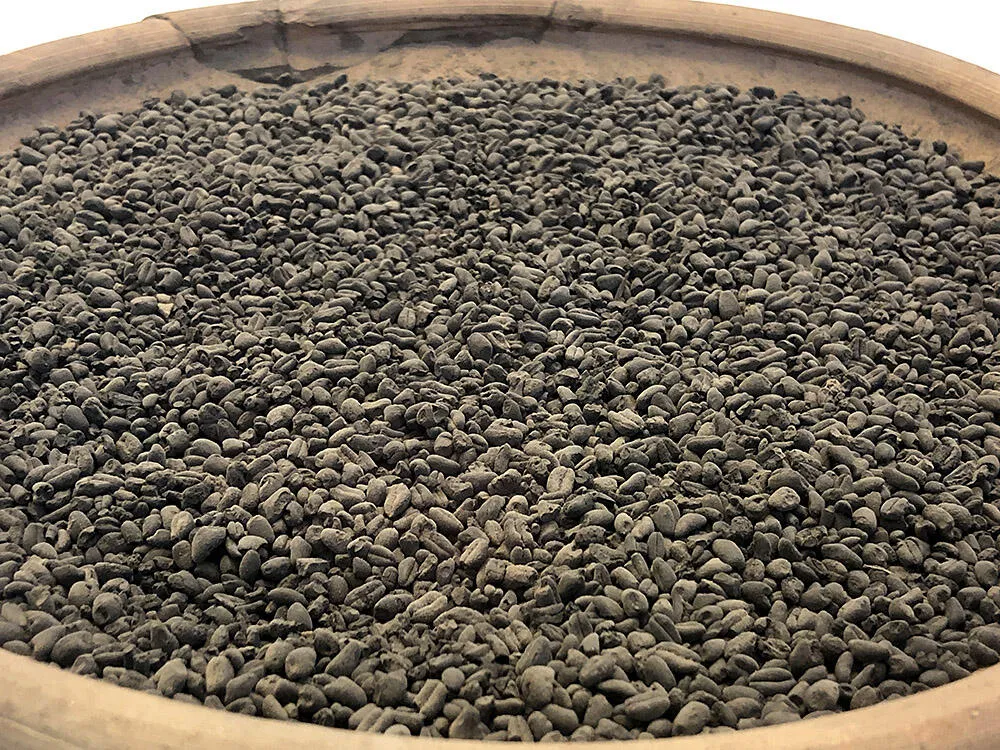 Charred wheat seeds