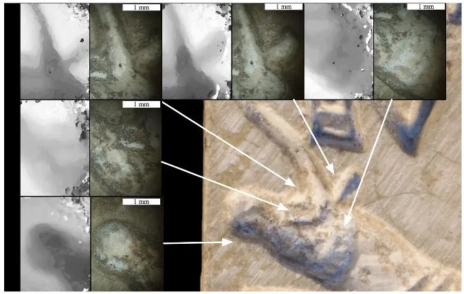 Seal analysis