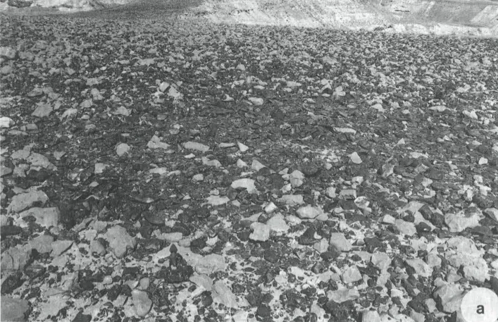 Sindh Excavations