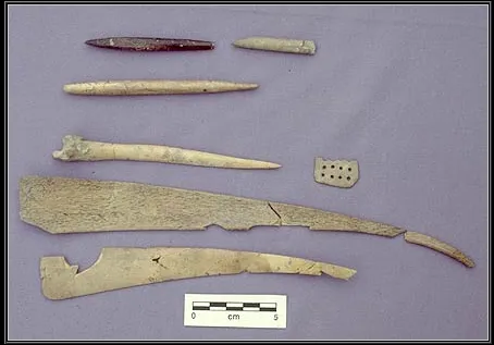 The Ravi Phase: A New Cultural Manifestation at Harappa