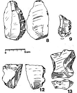 Report on the Excavation and Analysis of an Upper Acheaulean Assemblage
