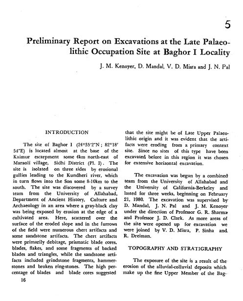 Preliminary Report on Excavations at the Late Paleolithic Occupation Site at Baghor Locality