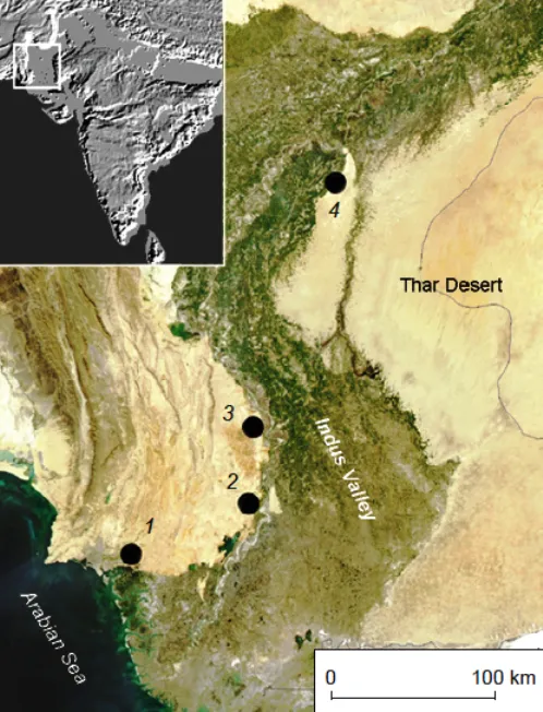 The Levallois Mousterian Assemblages of Sindh (Pakistan) and their Relations with the Middle Paleolithic of the Indian Subcontinent
