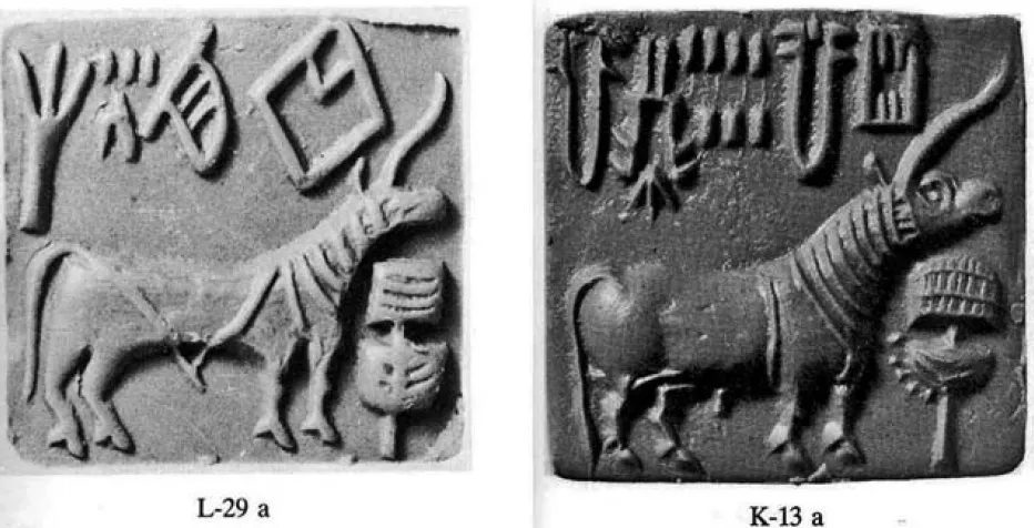 Comparison of hatch necked Unicorn Seals from Lothal and Kalibangin