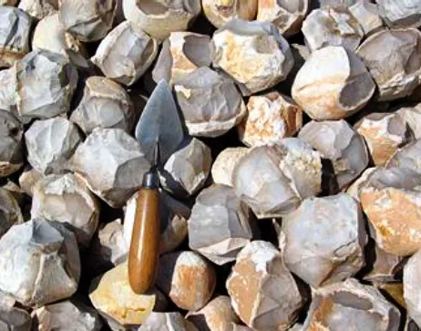 The Palaeolithic Sites at Ongar in Sindh : Paolo Biagi and Renato Nisbet