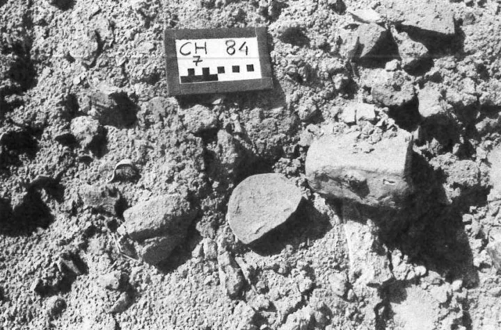 Surface Evidence of Craft Activity at Chanhu-daro 