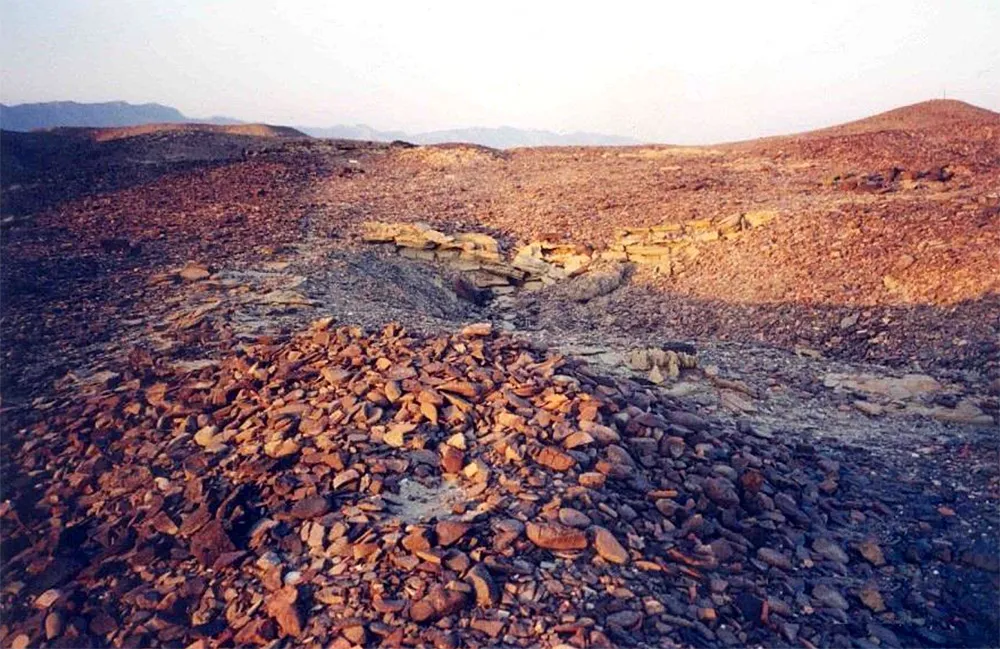 compound wall
