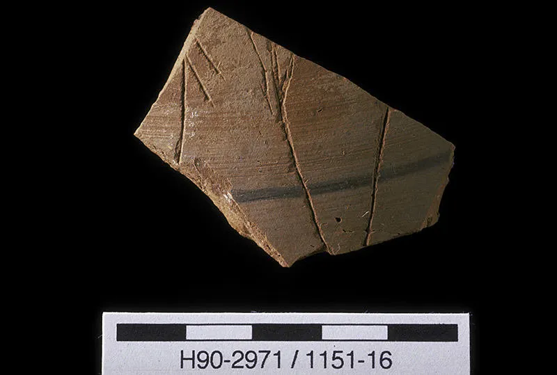 Early Indus sherd