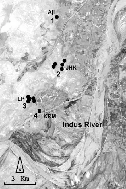 Flint Sites