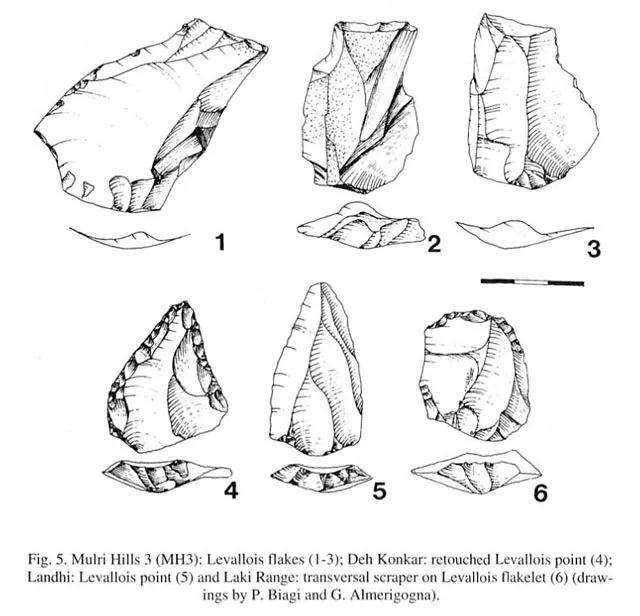 levallois flakes