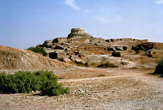 55 Years of Archaeological Research in Pakistan