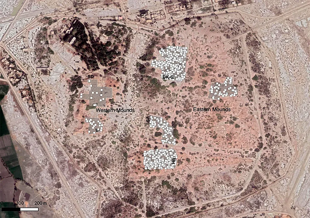Relative distribution of seals uncovered during the initial excavations seasons at Mohenjo-daro